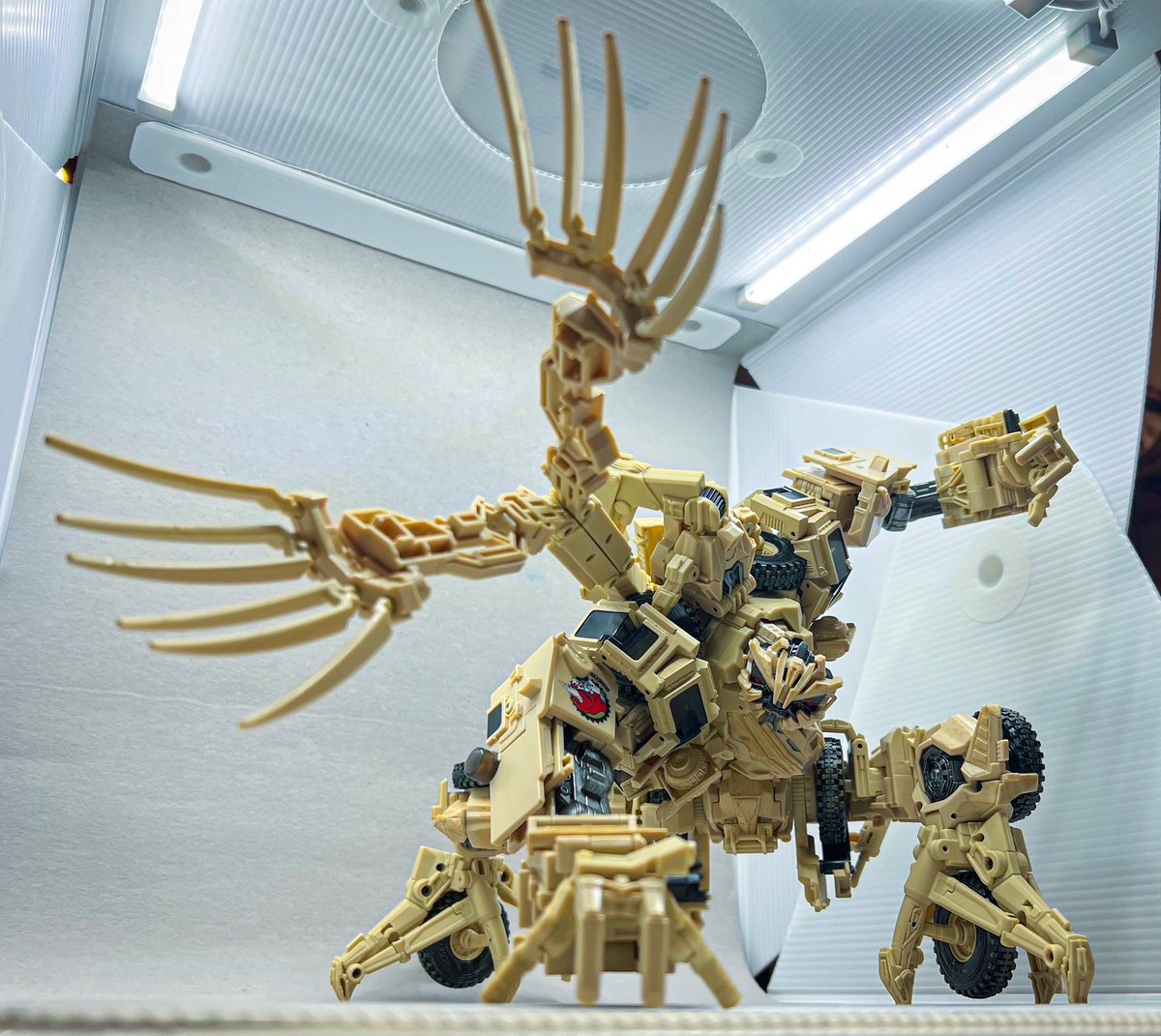 tftoy_pics's tweet image. 