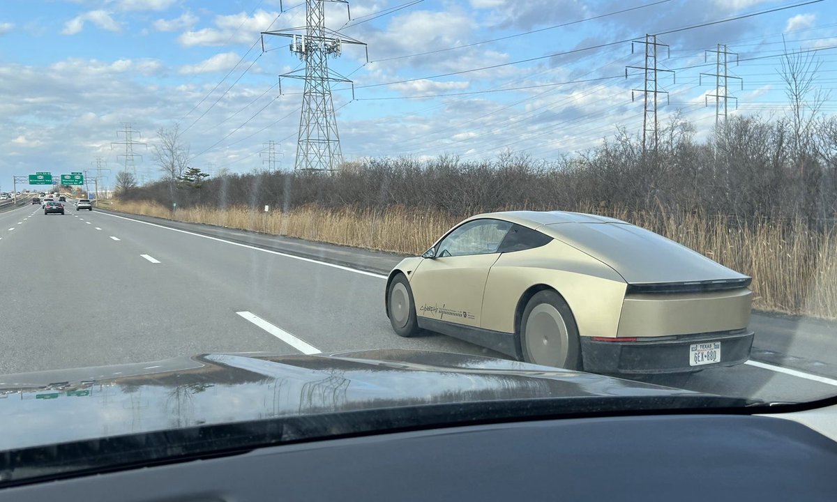 Nic Cruz Patane tweet media