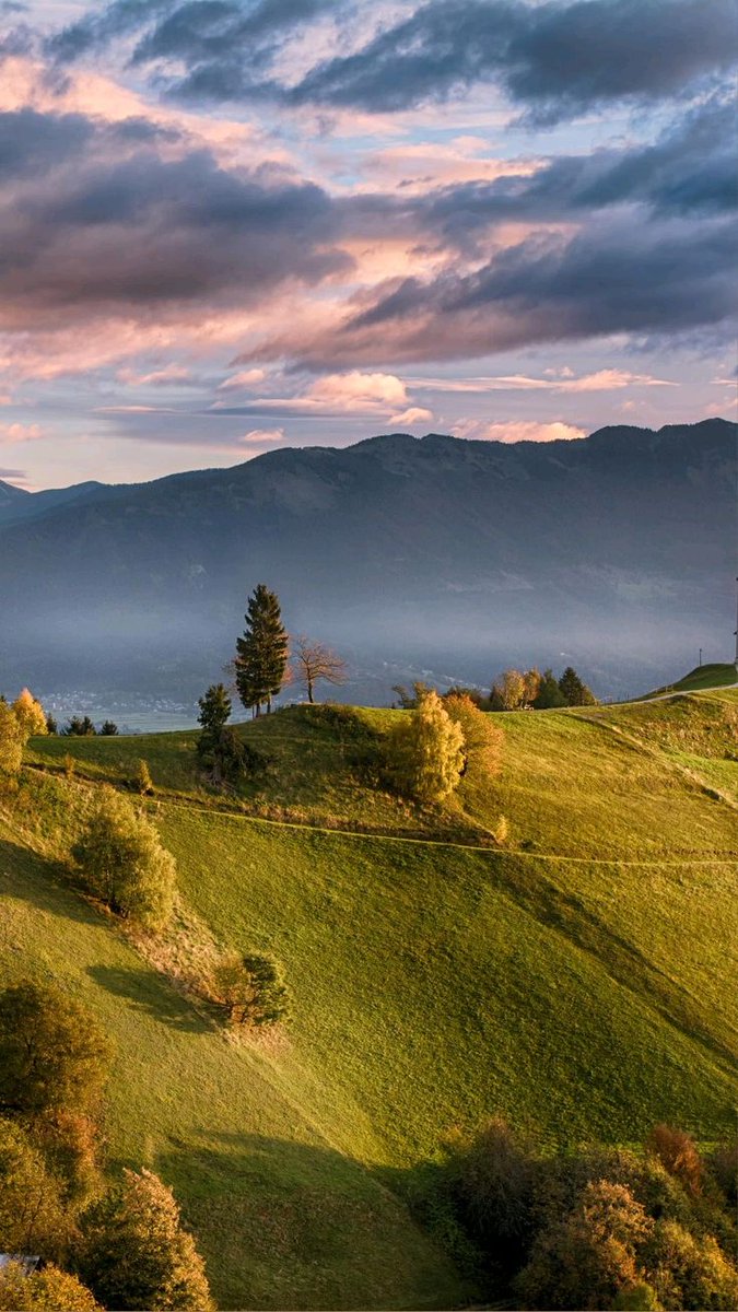 greenvibe's tweet image. 