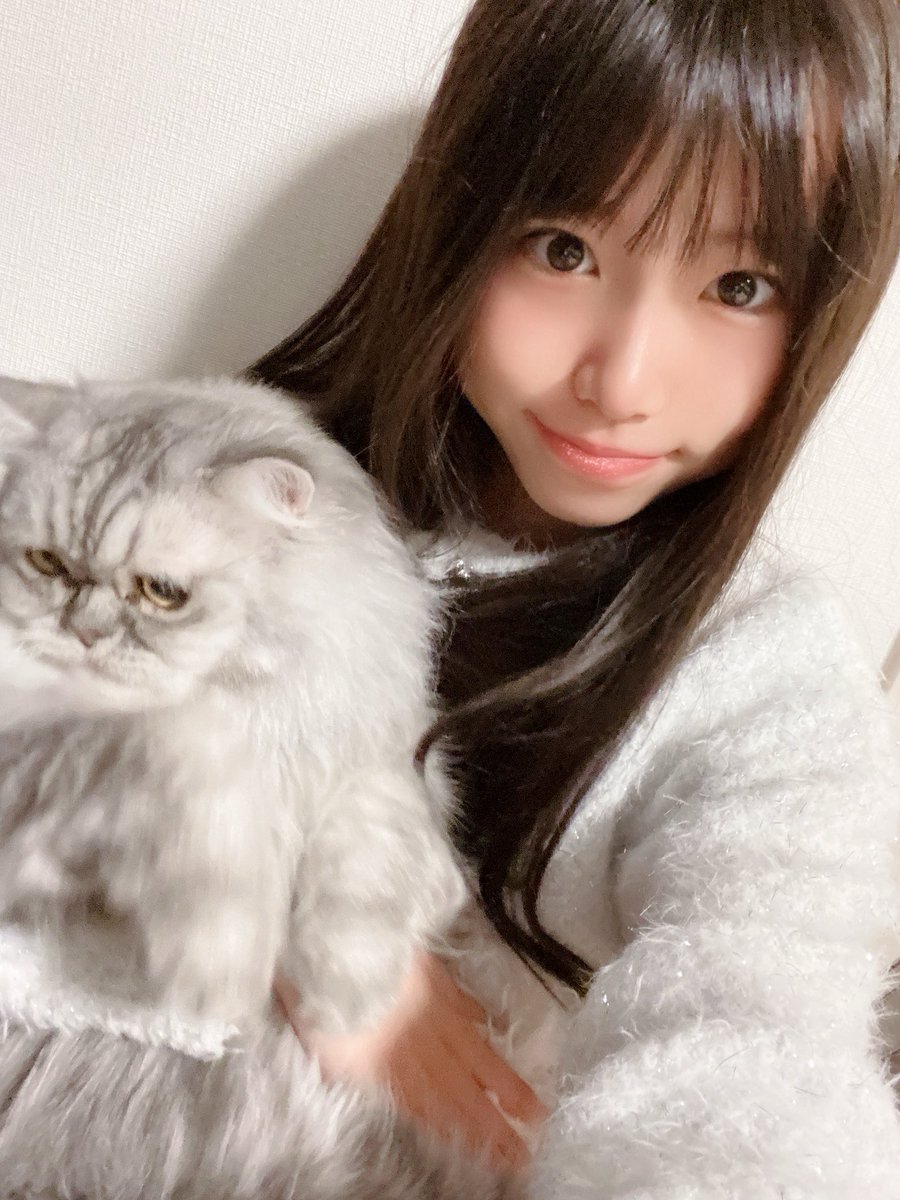 ちゃま ゆず酢 柚子酢 木頭ゆず 木頭柚子 一升瓶3本 ちゃま ゆず