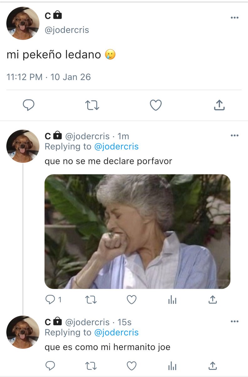 motinha tweet media