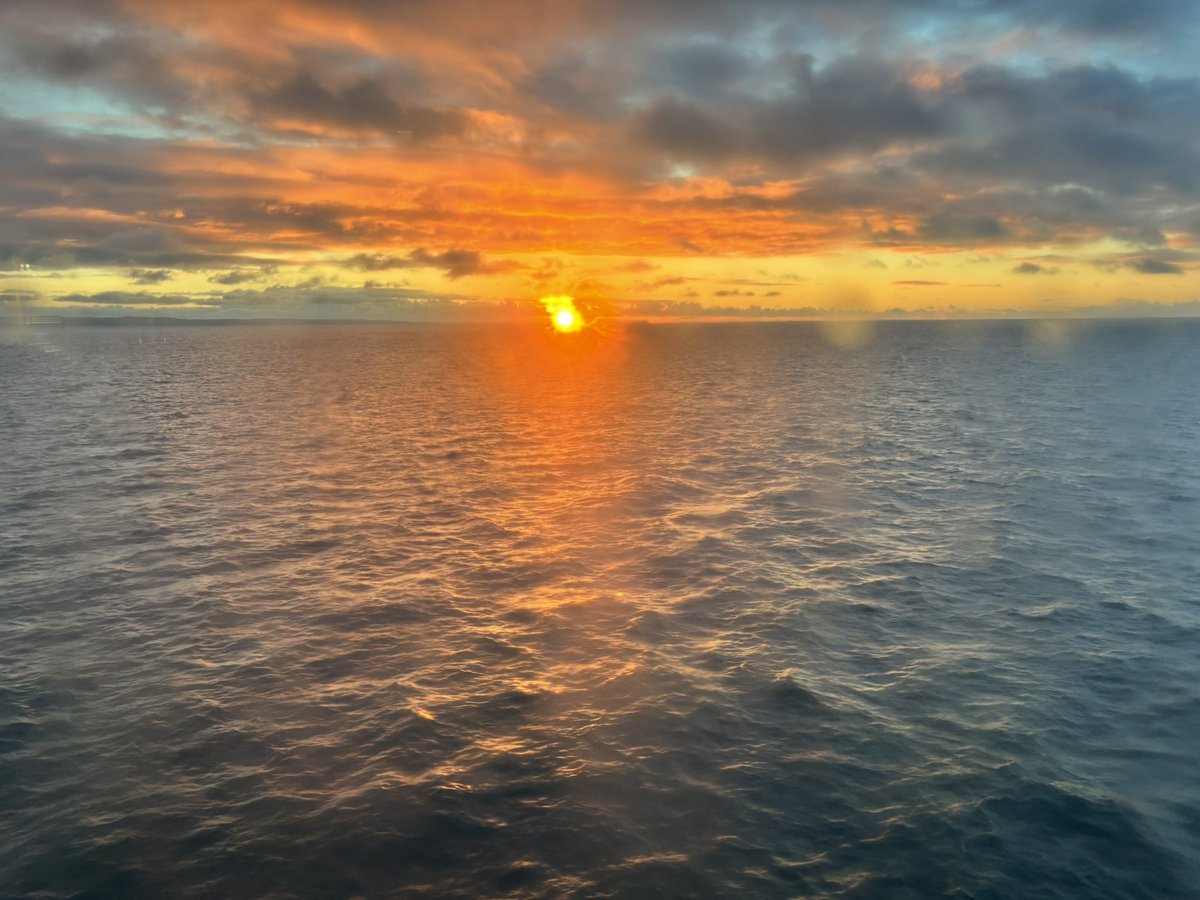 Rónán McHugh tweet media