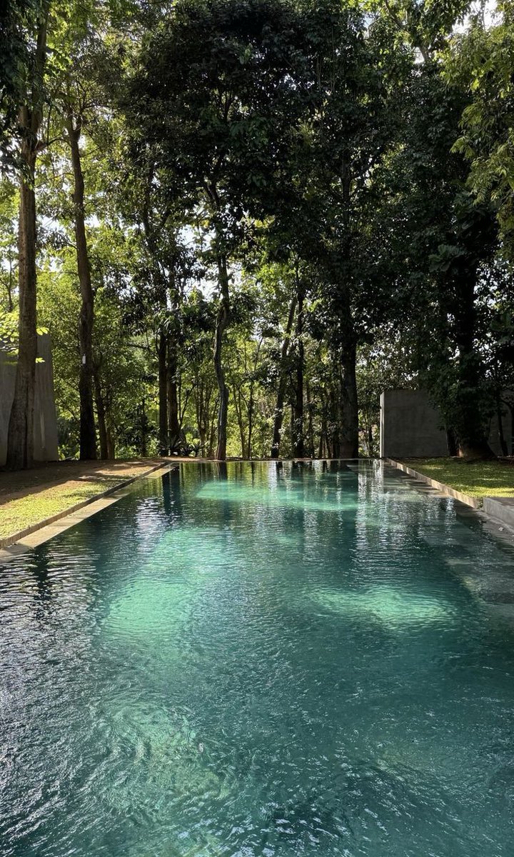 greenvibe's tweet image. 