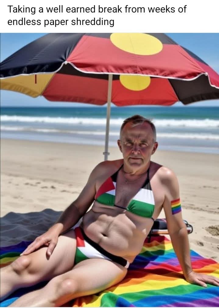 Terri_1987a's tweet image. Jodie checking out the latest Albo memes 😂😂😂😂