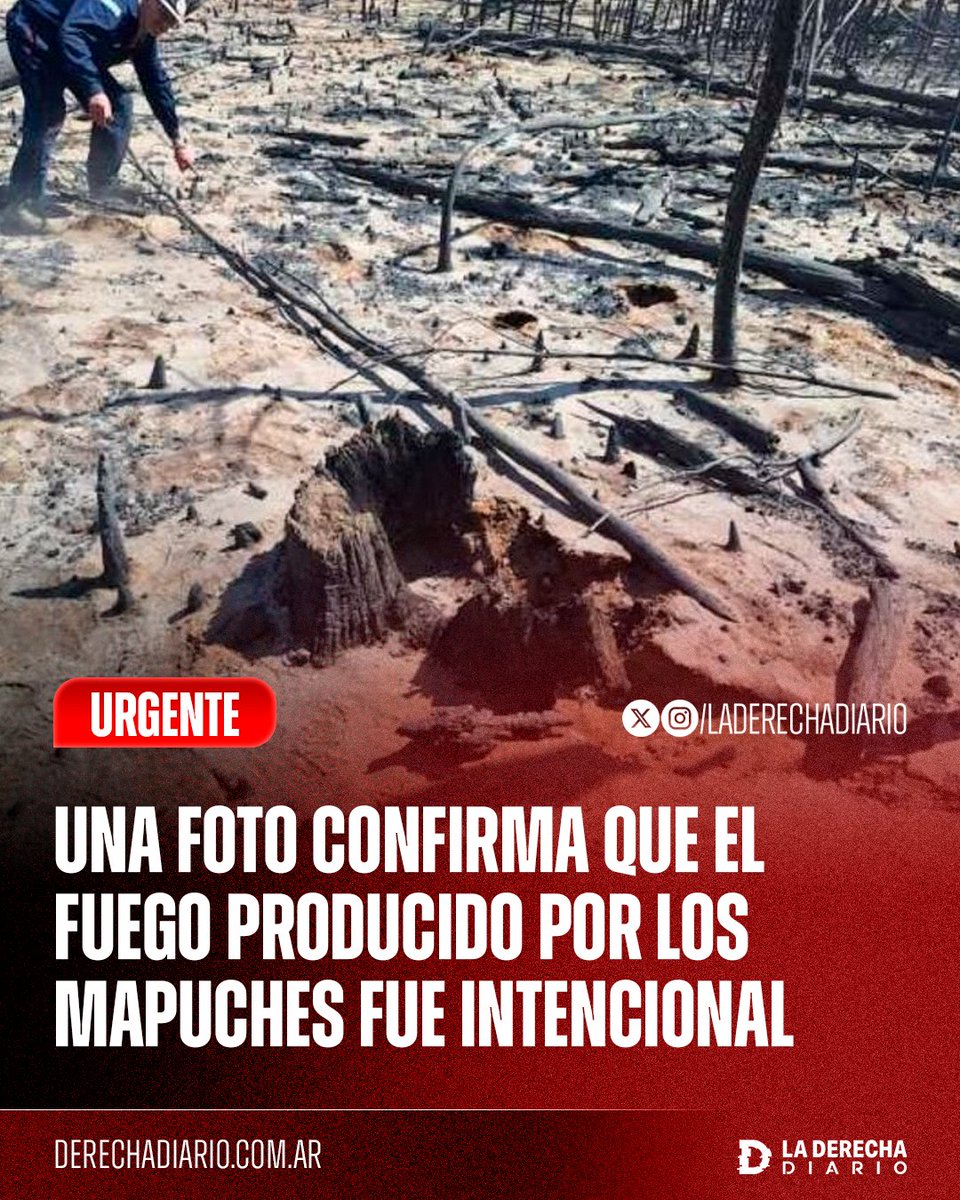 laderechadiario's tweet image. 🚨🇦🇷🇨🇱 | #URGENTE Una foto confirma que el fuego producido por los terroristas mapuches en Chubut fue intencional: La Justicia difundió una imagen del punto cero donde se inició uno de los focos en El Hoyo y confirmó el uso de acelerantes. 

Además, un vecino declaró haber visto…