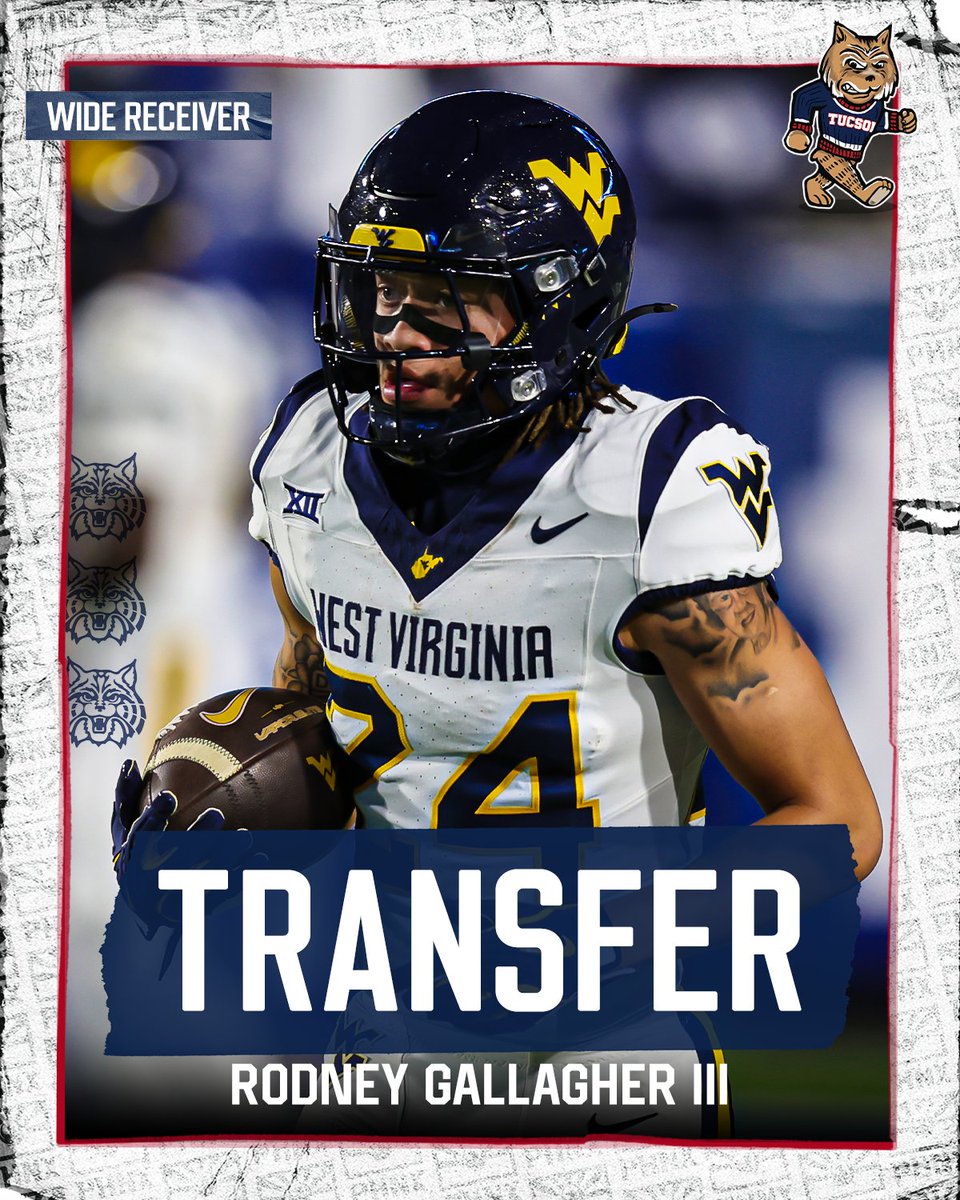 PHNX Wildcats tweet media