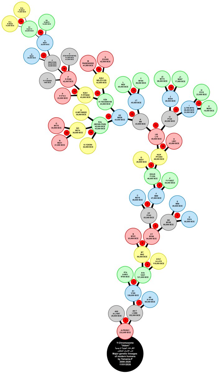 FGC4745's tweet photo. التفرعات الجينية الرئيسية 
لدى الإنسان المعاصر
Major genetic lineages 
of modern humans

https://t.co/L1C7Ok1jyw https://t.co/E6xc8mQaij