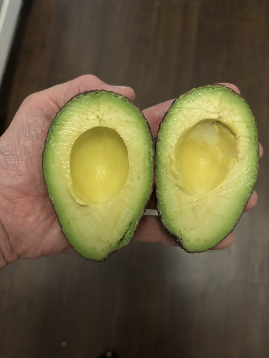 FretlessMonster's tweet image. The avocado whisperer strikes again! 👏🏻😂💚🥑 
#avocado #perfectavocado #perfect #fretlessmonster