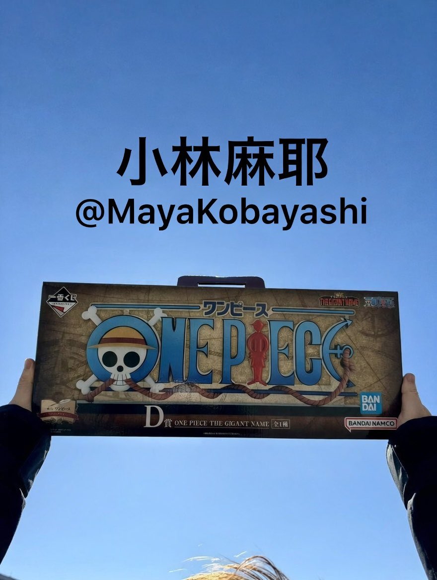 一番くじ ワンピース ドラマティックメモリーズ D賞 ギガントネーム