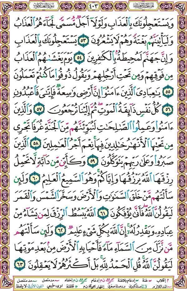 سعد السعاده (@bwkld61478) on Twitter photo 