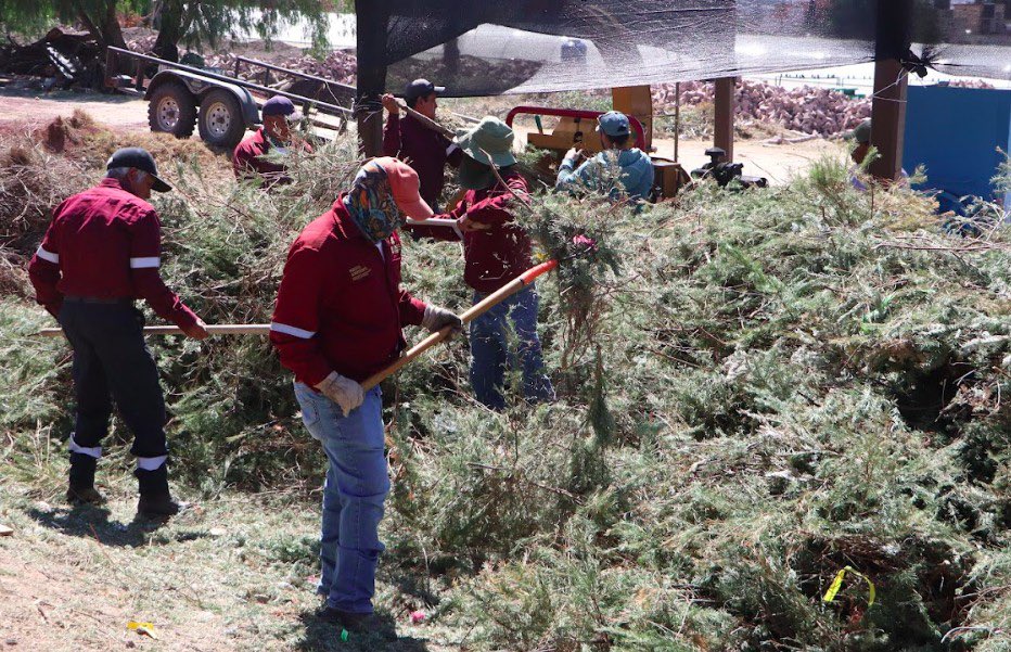 Hidalgo impulsa el reciclaje responsable de árboles de Navidad para proteger el medio ambiente

enfoquehidalgo.com/2026/01/10/hid…