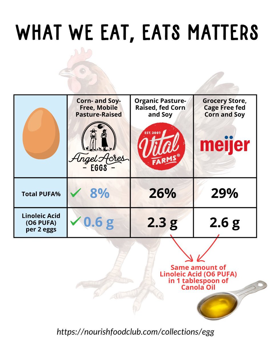 Carnivore Aurelius ©🥩 ☀️🦙 tweet media