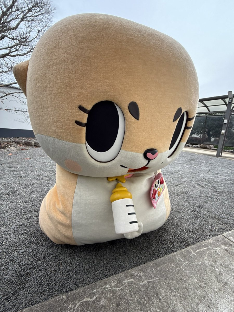 ちぃたん様⭐️専用 公式：ちぃたん☆九州 (@Kyushu_Chiitan) / Posts / X