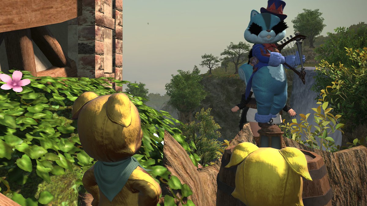 今日の収穫ｗ

#喫茶もも