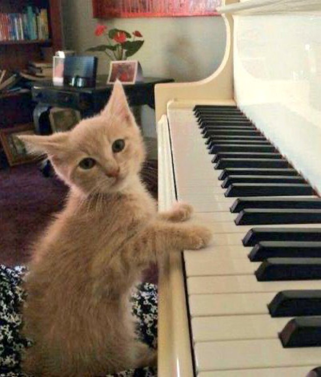 Paul Bronks tweet media