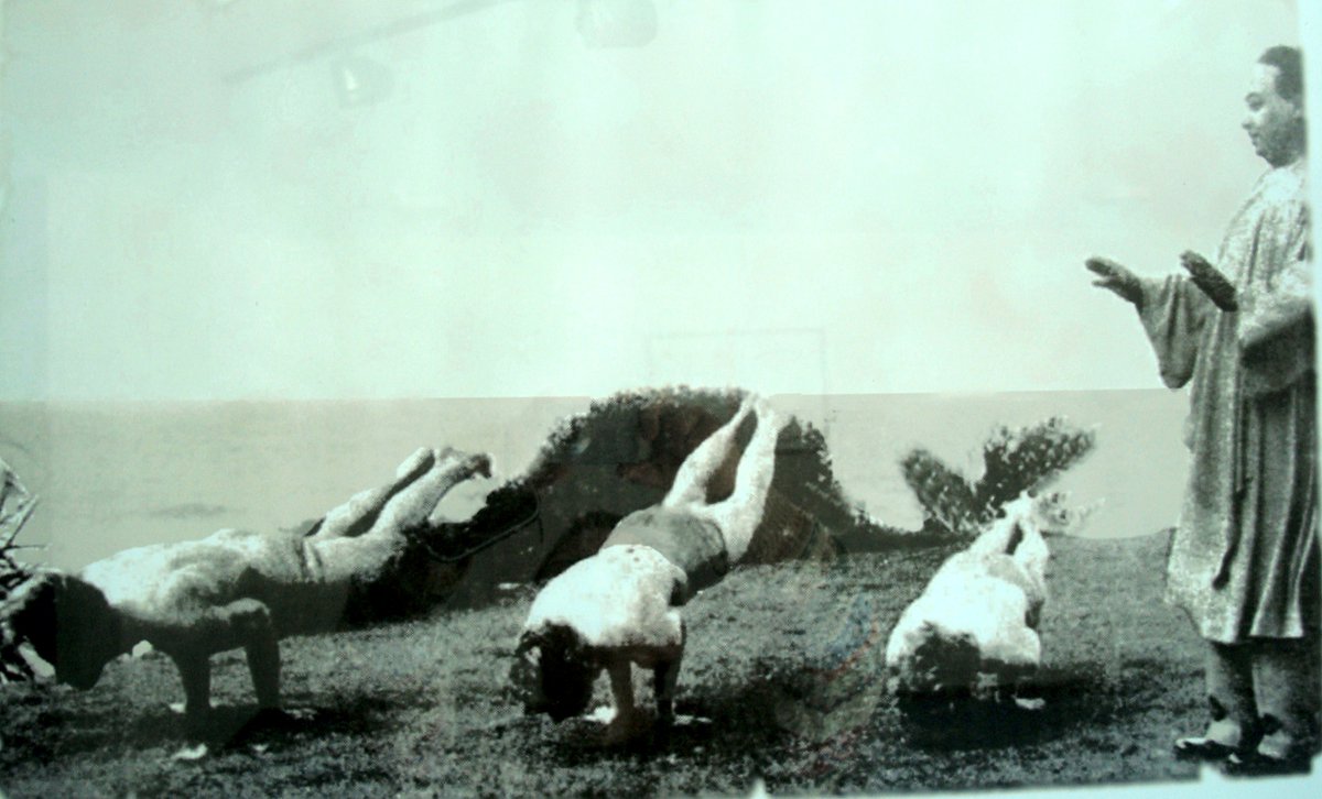 kashiraj7's tweet photo. Asanas sind auch für den Kriya Yoga wichtig. Ein Aufenthalt bei Yoga Vidya befruchtet jeden Kriya Yogi. Prädikat: sehr empfehlenswert. #Pranayama #Nervensystem #YogaVidya https://t.co/WIVxSLTW7Q