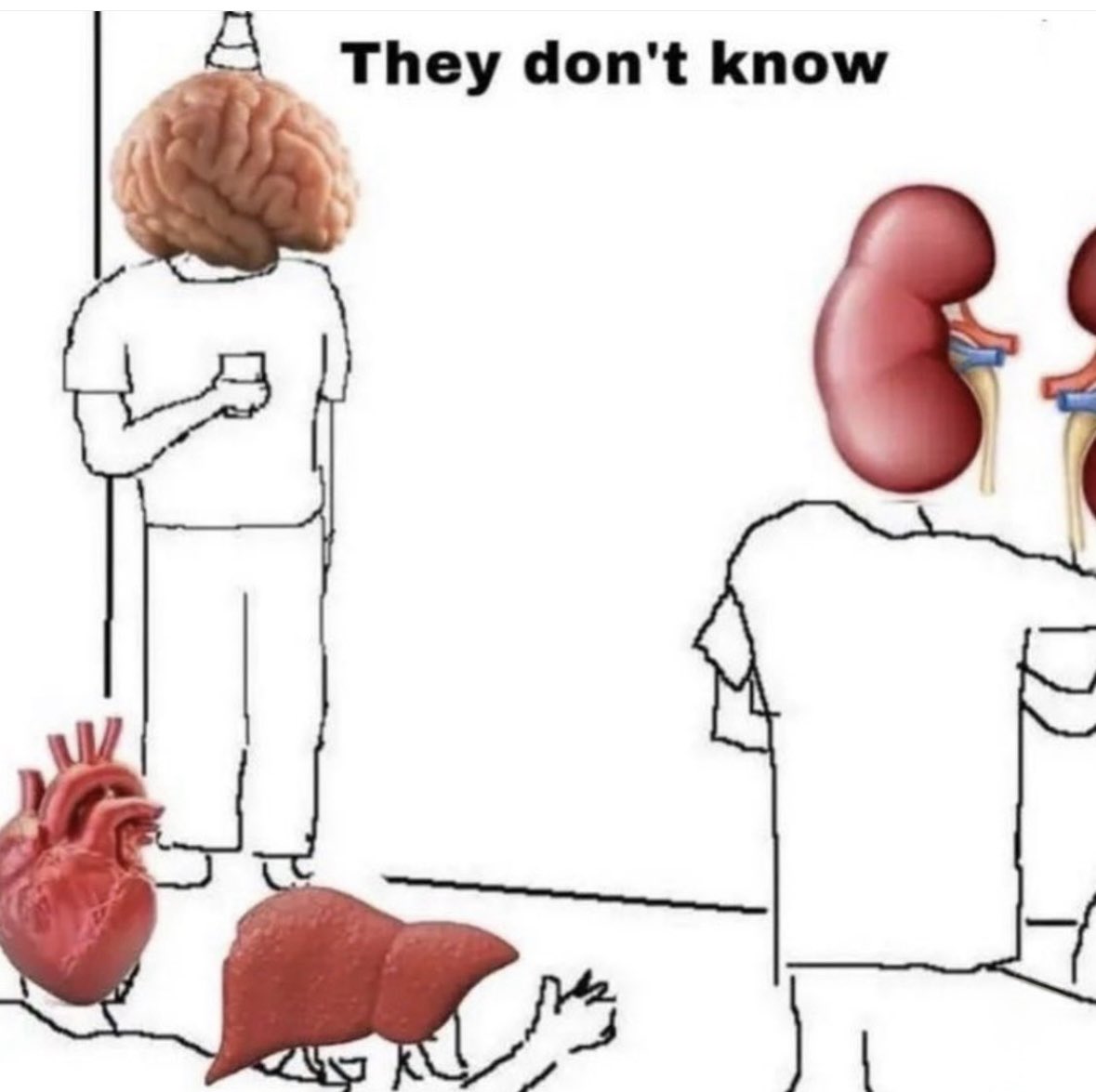 Respectful Memes (@respectfulmemes) on Twitter photo 