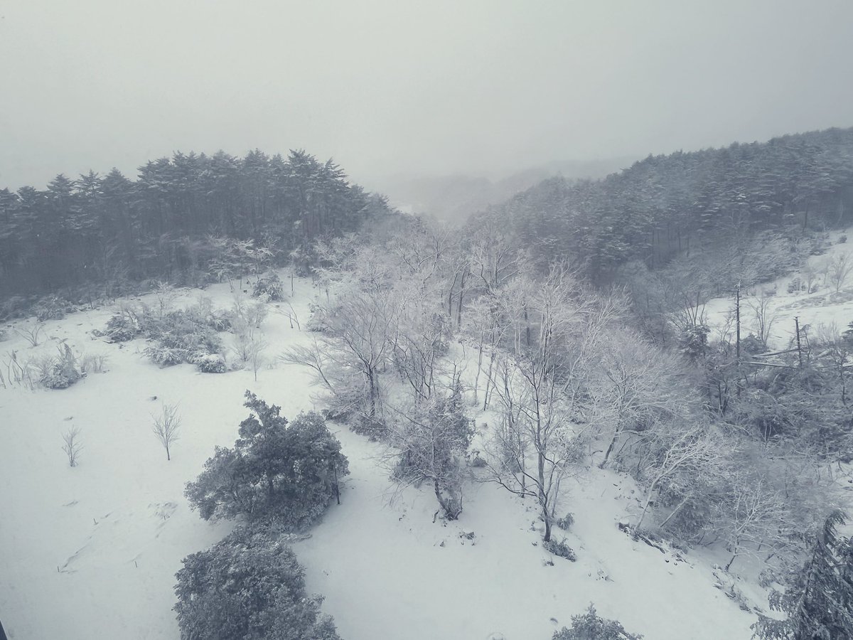 雪山に来ました🏔️