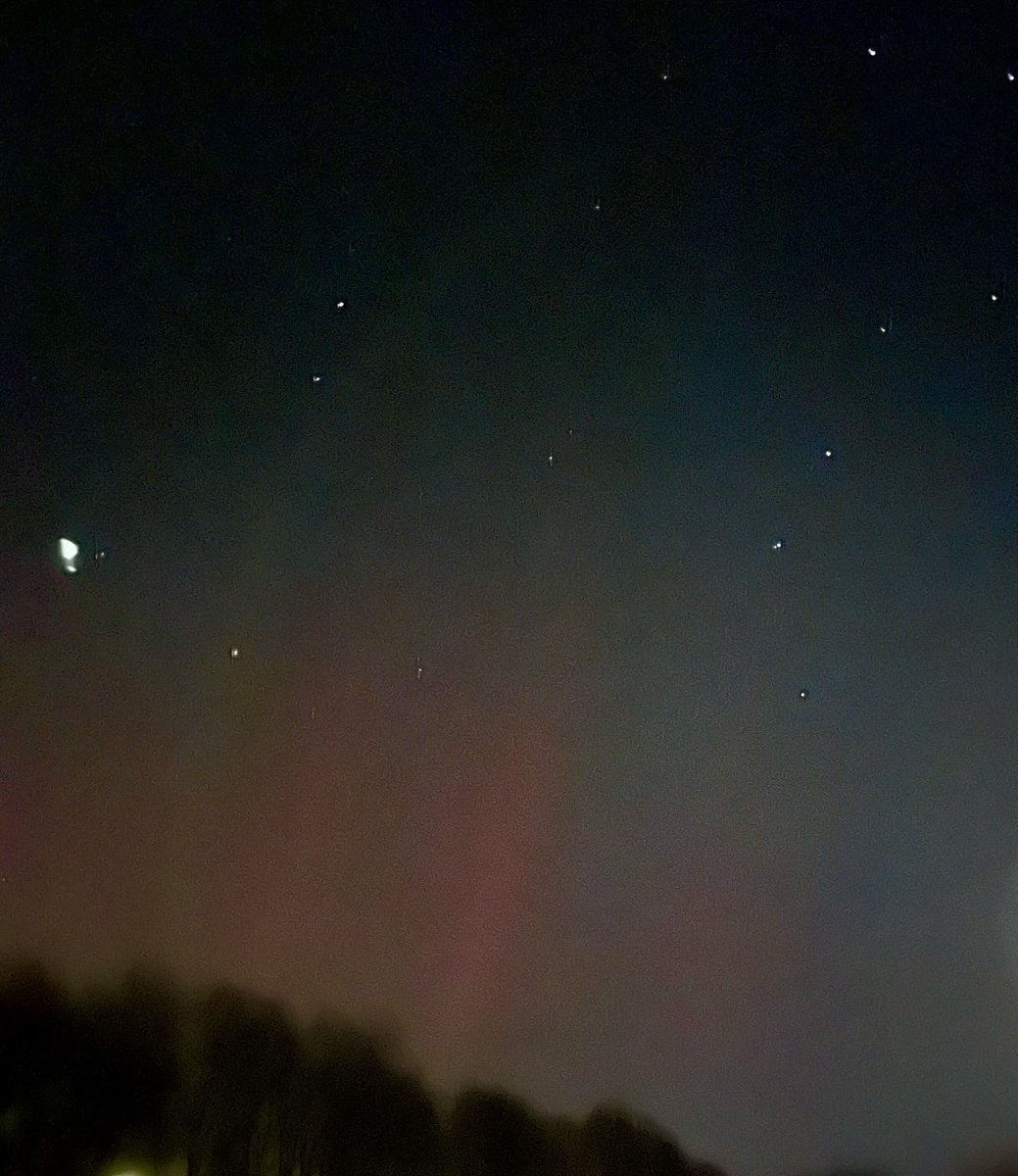 Jacquie Bridges tweet media