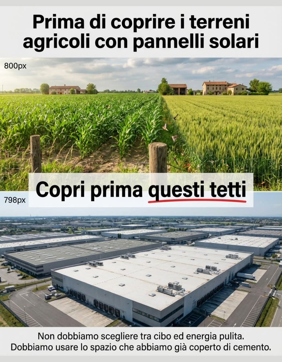 Anna 🪄⚡ tweet media