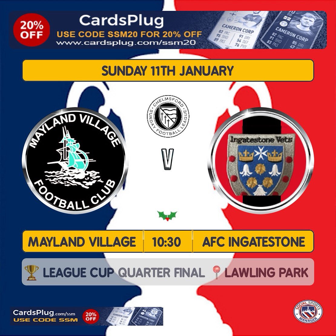 Mayland Village Fc tweet media