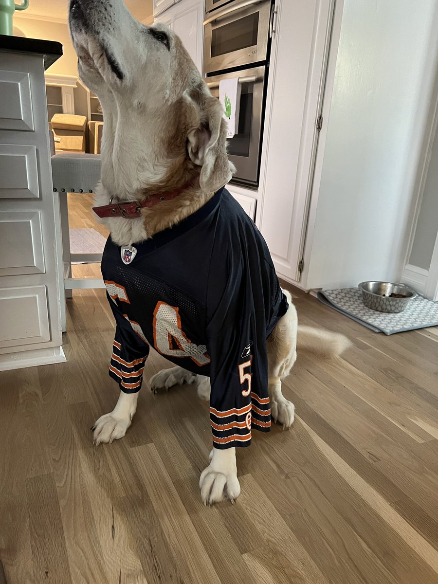 Henry Madera tweet media