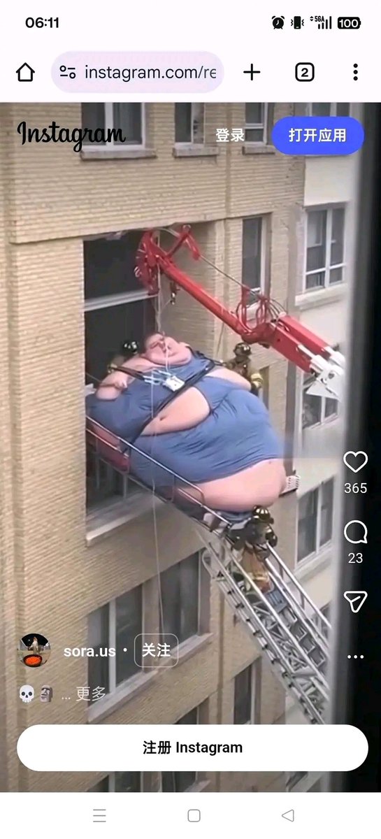 简律（私信互关） tweet media