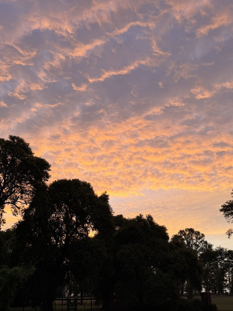 Labitori's tweet image. Este cielo. ✨