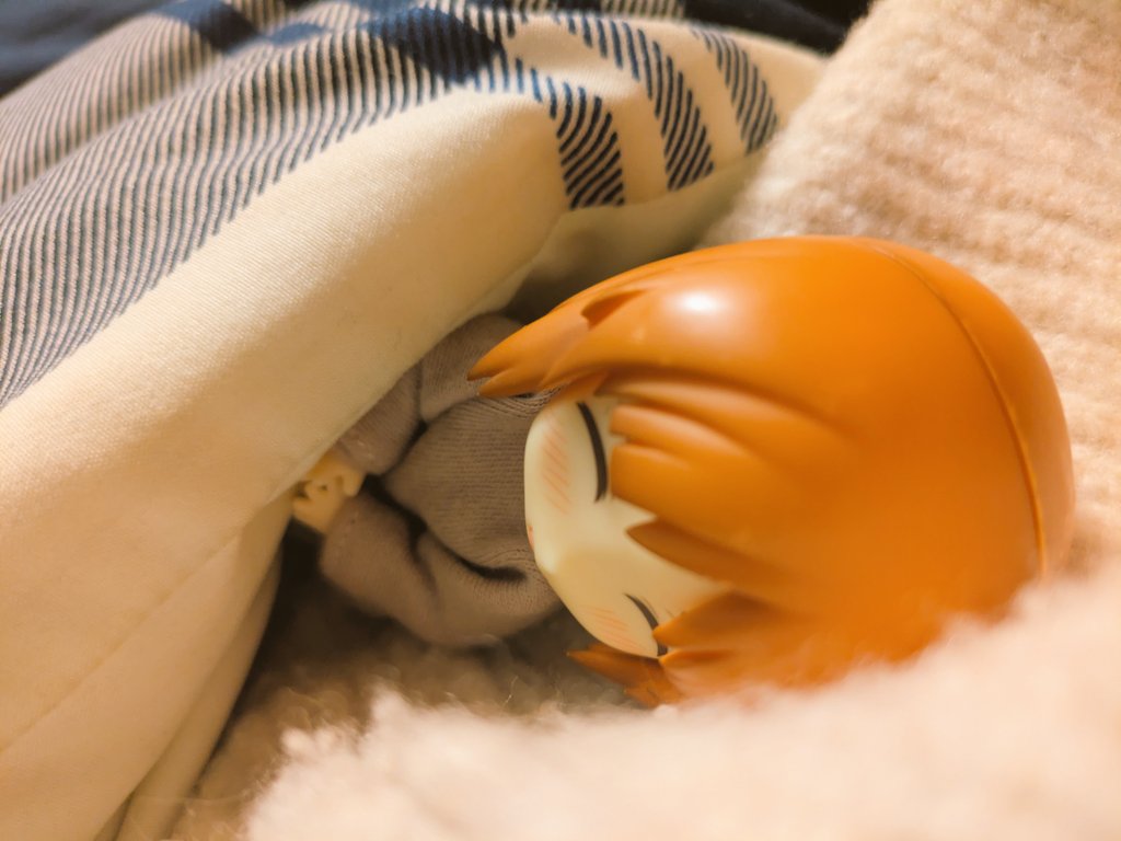 おはようございます☀️

今日は今年初のお泊り勤務(⁠ ⁠ꈍ⁠ᴗ⁠ꈍ⁠)
みほさんはお家でボコ達とお留守番✨

連休の真ん中なので、穏やかに何事も無く勤務出来るといいね(⁠人⁠ ⁠•͈⁠ᴗ⁠•͈⁠)