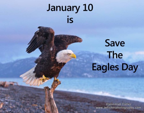 1-10-26 BCQ: How many talons does an eagle have on each foot?

#getaclutrivia #funtrivia #smarterthanyouthink #bringyourfriendsandfamily #saturdaynighttrivia #popculturetrivianight #8to10pmcst #adagiospizzafactory #newbrightonmn #minitrophy #raffle4freedrink 👓🥸🎤🎟💰🥇🥈🥉🏆