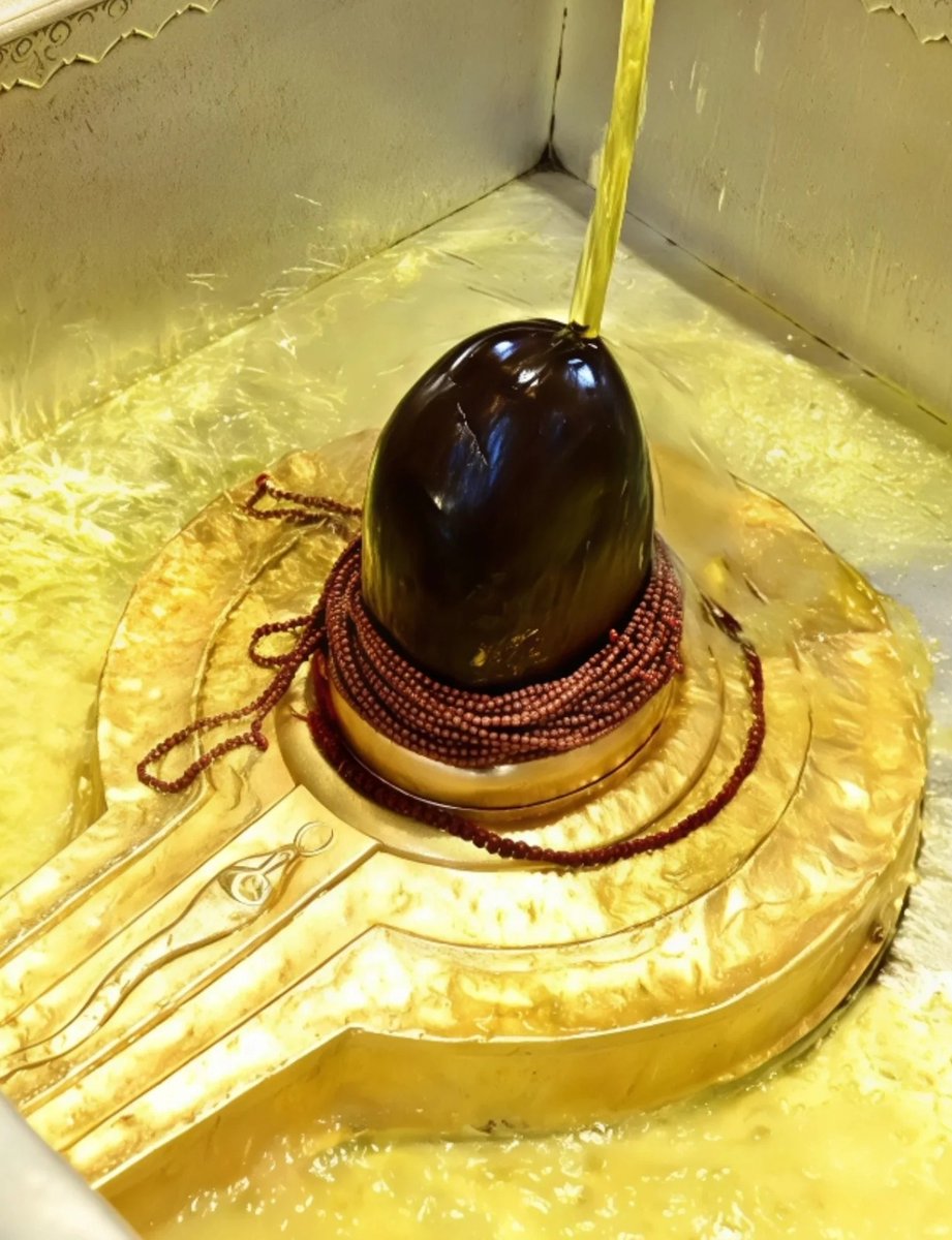 Akanksha Parmar tweet media