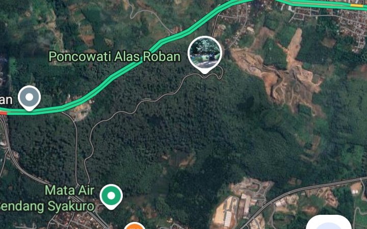 demiwhisnu's tweet image. Alas roban angker ? 
Setane wedi karo buldozer.