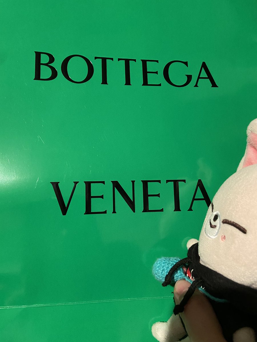 憧れのボッテガをついに購入しました、えーん😭宝物にする😭