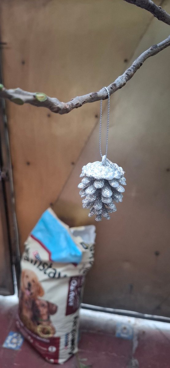 goldxolo's tweet image. Claro ✨ aquí tienes el tuit:

“Los adornos de Navidad de otro árbol de Xolos Ramírez 🎄🐕✨”

#mainstaykibble #kibbles #goldxolo