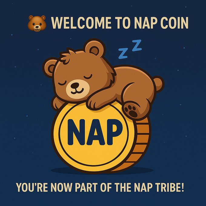 Meme2026370925's tweet photo. You donβt just hold a token, you hold the philosophy of calm, clarity and presence. Thatβs what makes NAP unique. #NAPCoin, #SolanaMeme, #FollowTheBear https://t.co/pG8l0HPKBB