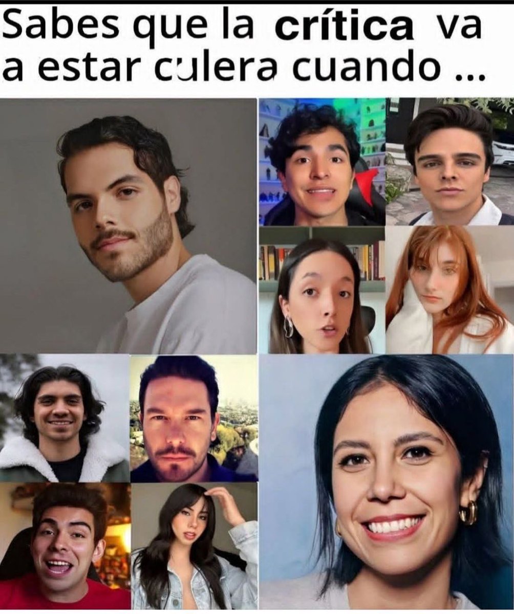 el problema fundamental de este meme es que estas personas nunca han hecho y nada indica que harán algún día crítica cinematográfica: algunos hacen resúmenes, los más articulados hacen comentarios, pero la mayoría son simplemente un brazo acrítico del marketing peliculero