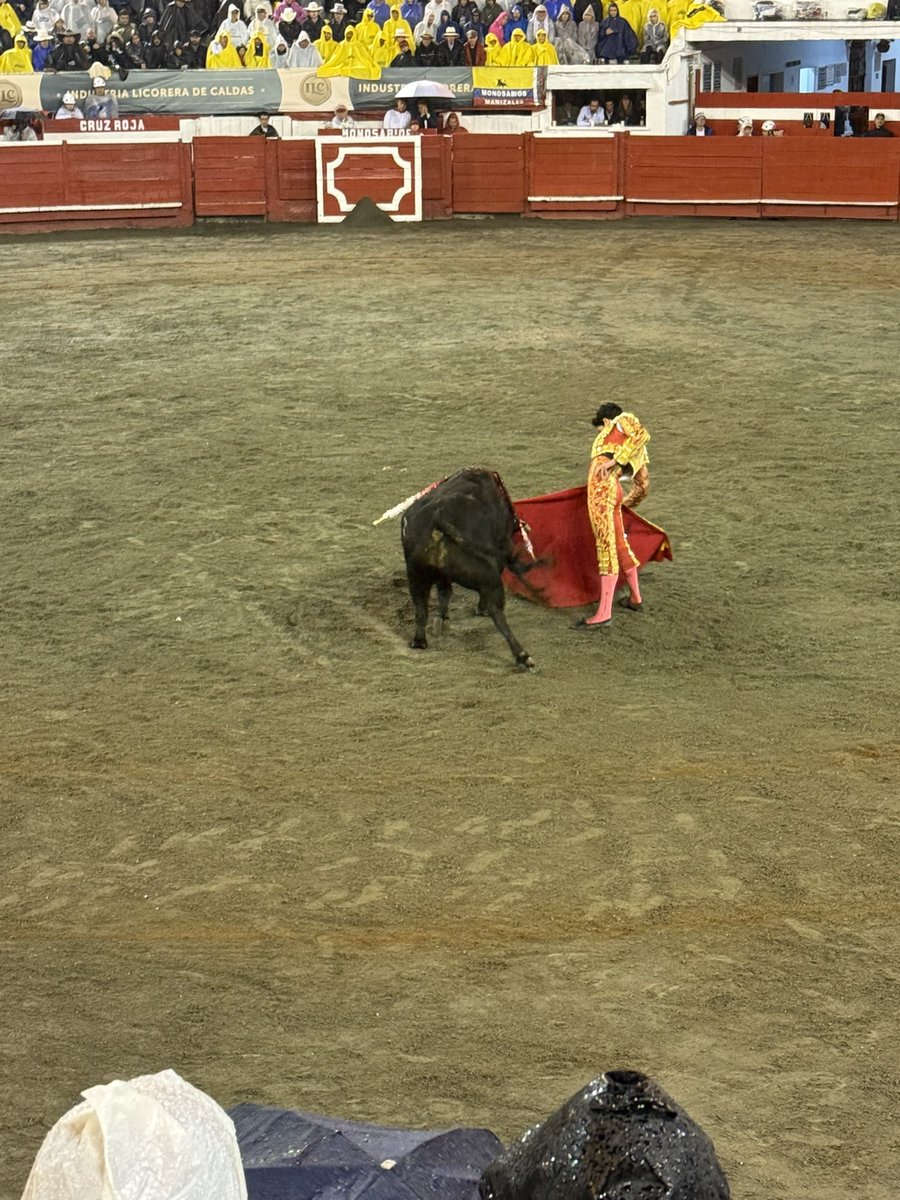 Tauroctonía tweet media