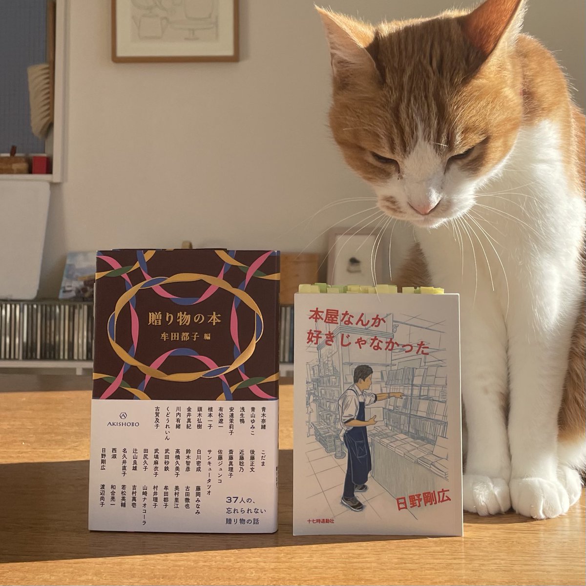 【本日開催】幕張の本屋lighthouseに、ときわ書房志津ステーションビル店店長・日野剛広さんをお招きして、『本屋なんか好きじゃなかった』『贈り物の本』のお話をうかがいます。13時〜15時（配信有り）。
トークの前後も店内におりますので、遊びにいらしてください。
books-lighthouse.com/portfolio/okur…