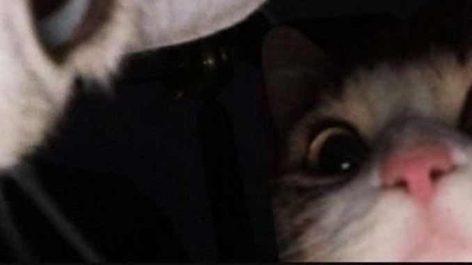 Tap my post!! they'er watching you!!!!!