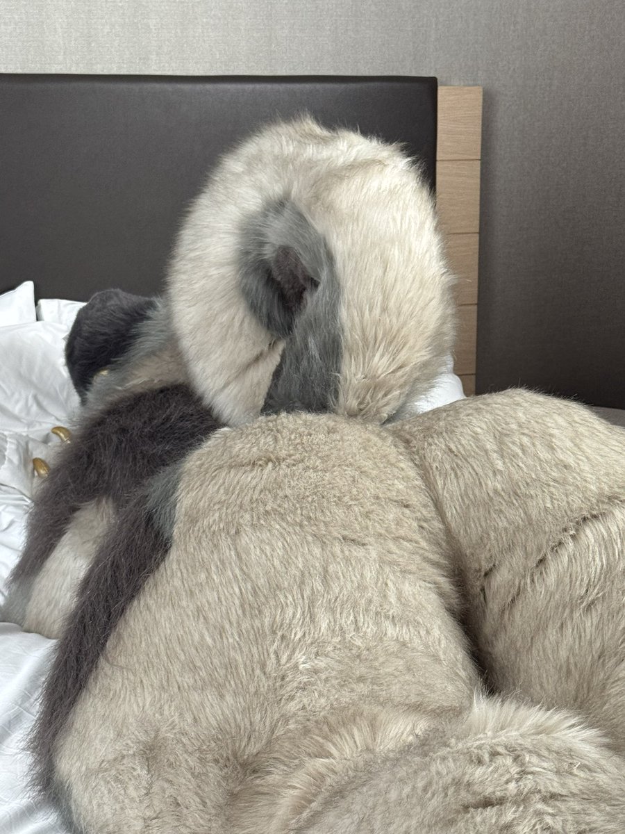 cuppatabby's tweet photo. Tbh still thinking about this photo of my butt in fursuit  (pic taken by partner) https://t.co/TYocWEKb1f