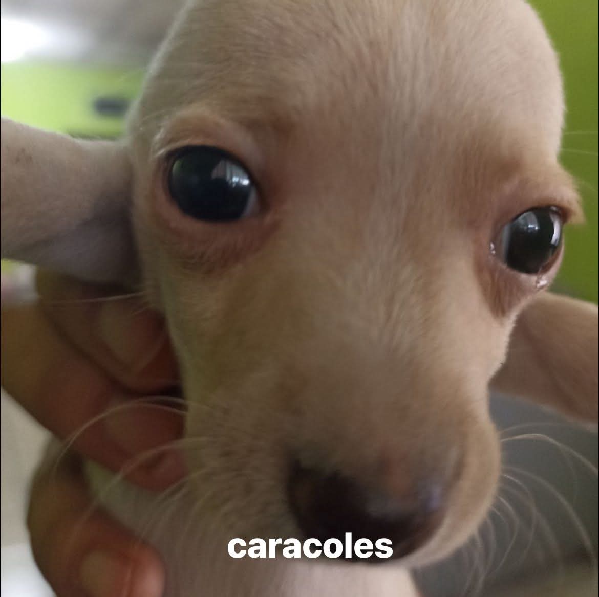 🟨⬜🟪⬛⸸Prank-Kids⸸🟨⬜🟪⬛ tweet media