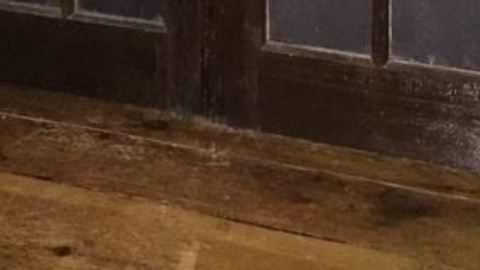 Tap my post… he’s watching!!