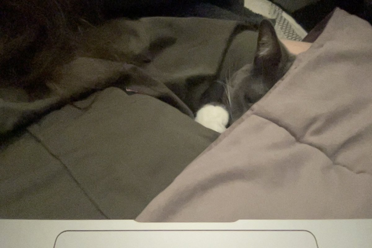 jbug (@omgjitterbug) on Twitter photo 