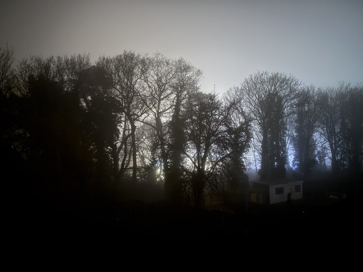 My garden give terrifying vibes on a night like this.