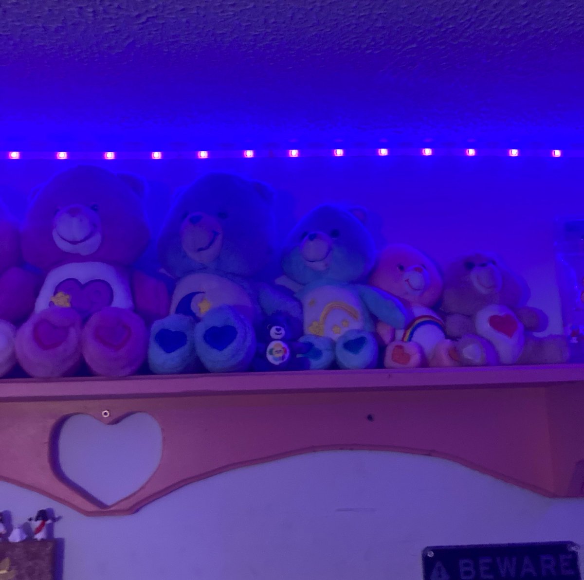monkeyboyoy's tweet image. Also! Small look at some of my collections :3 I’ve mentioned the bones before but idk about the other stuff… I wish I could do a whole video tour 💔 I have more Garfield + snoopy + Scott pilgrim ☹️