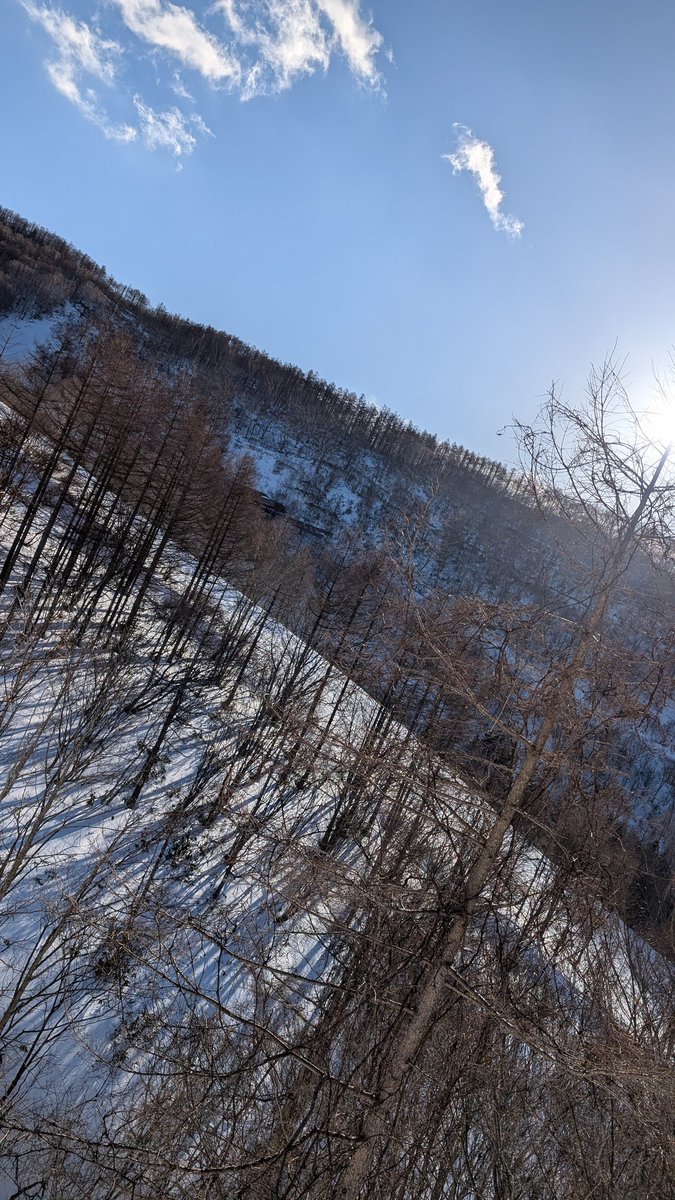 morippeSOS's tweet image. 快晴やないか雪降るんじゃないんか