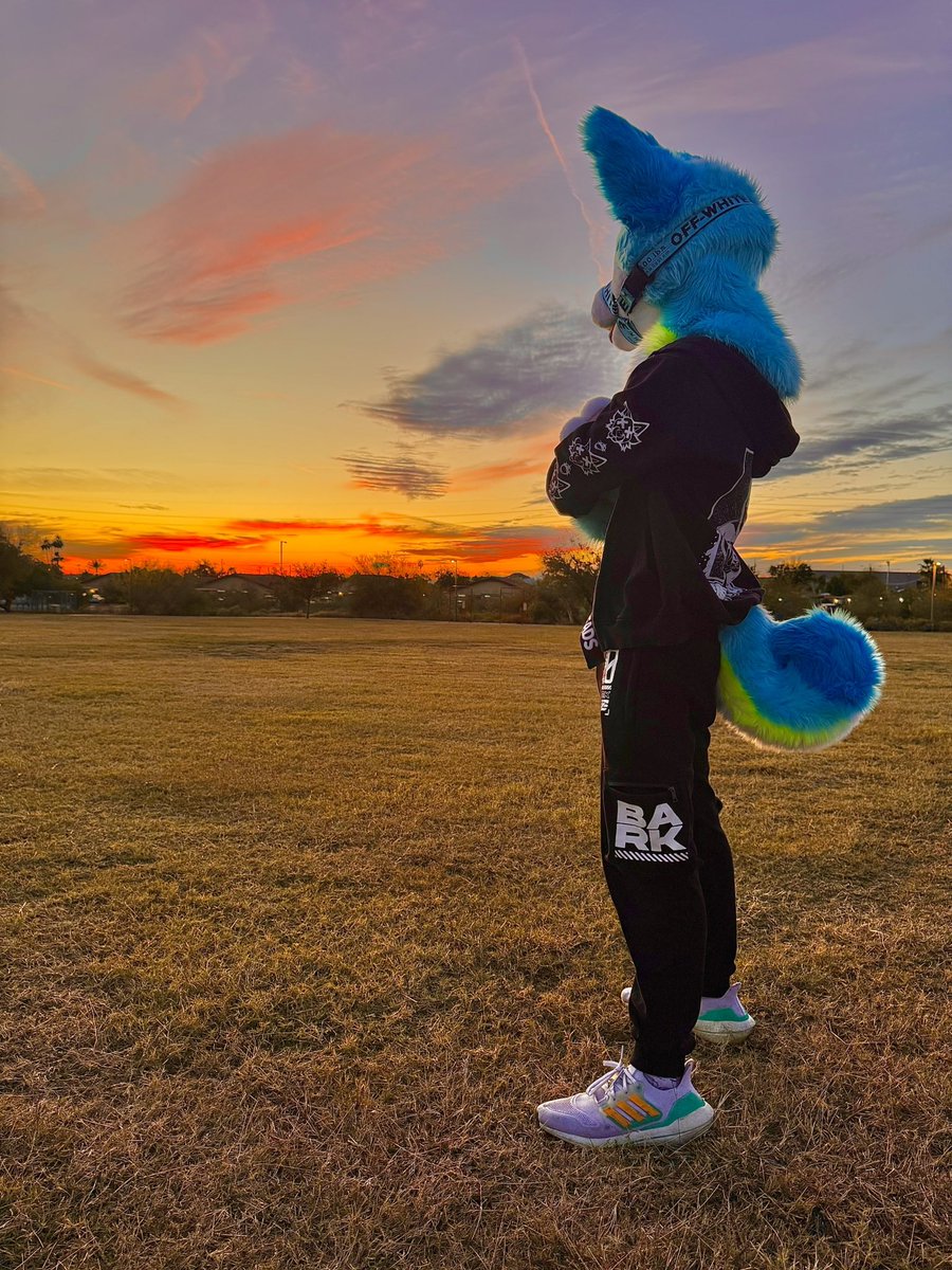 🌵⛈️Blue Bolt Wusky⛈️🌵 tweet media