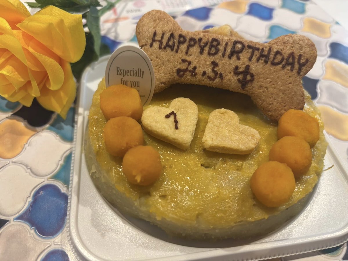 みふゆちゃんのお誕生日ケーキを作らせて頂きました❤️
今年も人気のスイートポテトケーキ🍠これまでに何度作ったか分からない、私としても愛着のあるケーキです😆
#スイートポテト　
#いぬのケーキ　
#はらぺこ