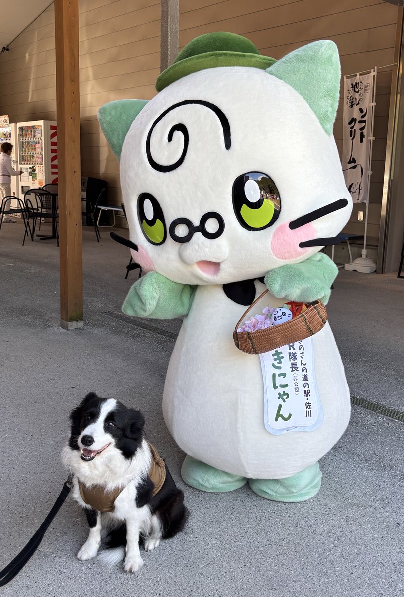 まきにゃん🐱高知県佐川町 (@makinyan_sakawa) / Posts / X