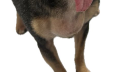 SpinBingBing's tweet image. click the post